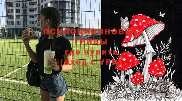 МДПВ Алзамай