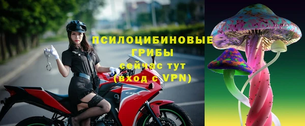 apvp Аркадак
