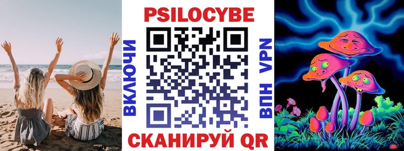 Псилоцибиновые грибы Psilocybe  Могоча 